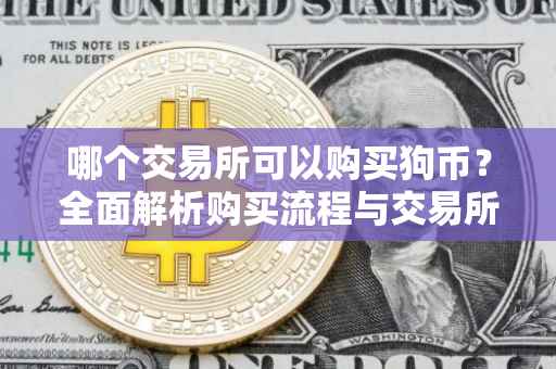 哪个交易所可以购买狗币？全面解析购买流程与交易所选择
