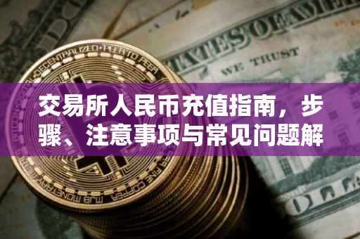 交易所人民币充值指南，步骤、注意事项与常见问题解答