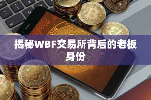 揭秘WBF交易所背后的老板身份