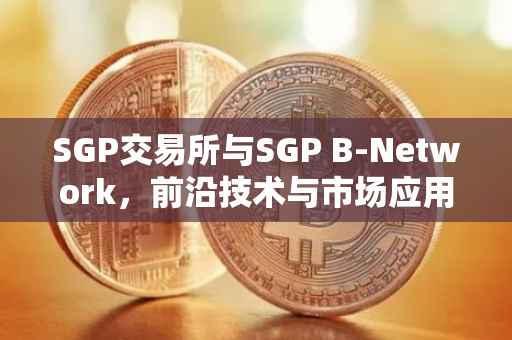 SGP交易所与SGP B-Network，前沿技术与市场应用解析