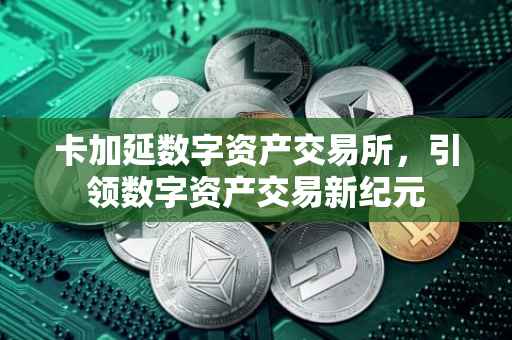 卡加延数字资产交易所，引领数字资产交易新纪元