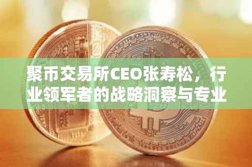 聚币交易所CEO张寿松，行业领军者的战略洞察与专业解析