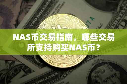 NAS币交易指南，哪些交易所支持购买NAS币？