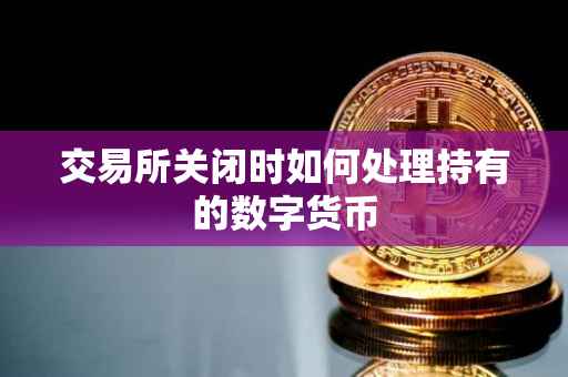 交易所关闭时如何处理持有的数字货币