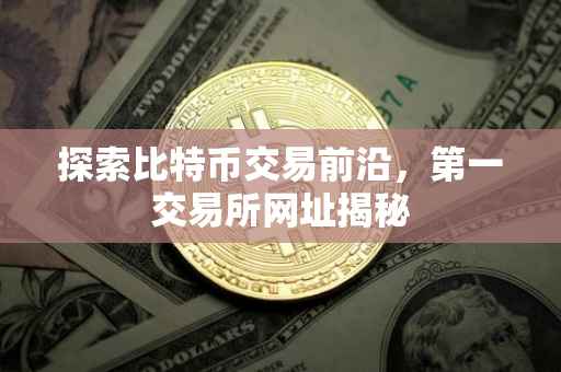探索比特币交易前沿，第一交易所网址揭秘