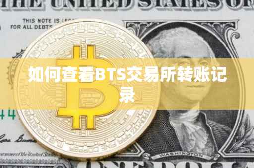 如何查看BTS交易所转账记录