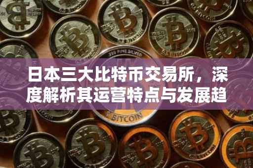 日本三大比特币交易所，深度解析其运营特点与发展趋势