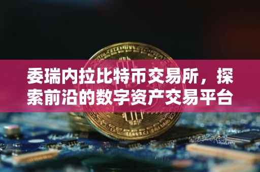 委瑞内拉比特币交易所，探索前沿的数字资产交易平台