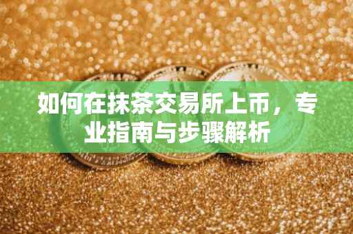 如何在抹茶交易所上币，专业指南与步骤解析