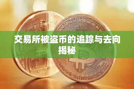 交易所被盗币的追踪与去向揭秘