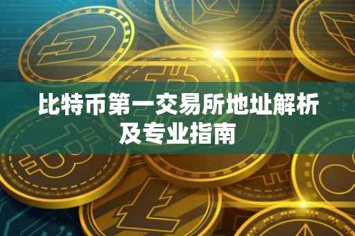 比特币第一交易所地址解析及专业指南