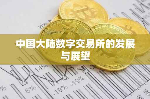 中国大陆数字交易所的发展与展望