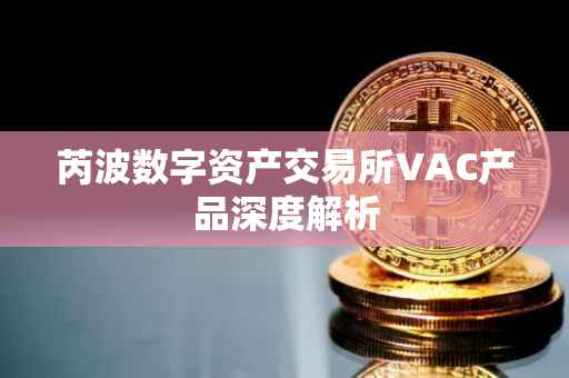 芮波数字资产交易所VAC产品深度解析