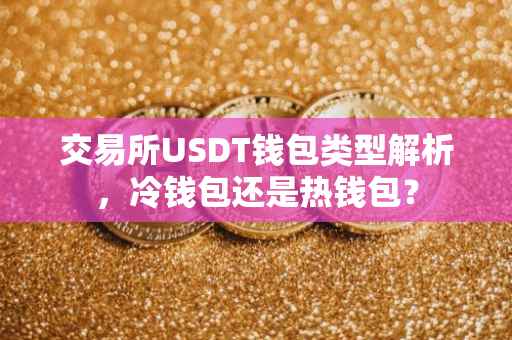 交易所USDT钱包类型解析，冷钱包还是热钱包？