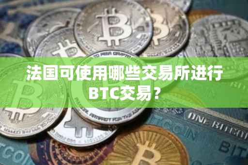法国可使用哪些交易所进行BTC交易？