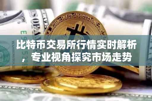 比特币交易所行情实时解析,专业视角探究市场走势
