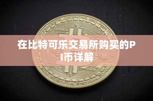 在比特可乐交易所购买的PI币详解