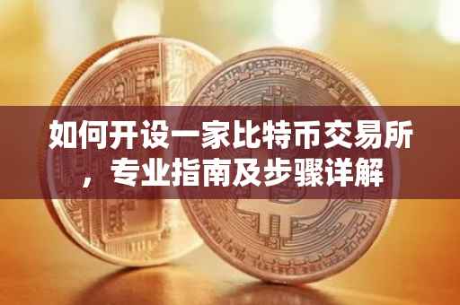 如何开设一家比特币交易所，专业指南及步骤详解