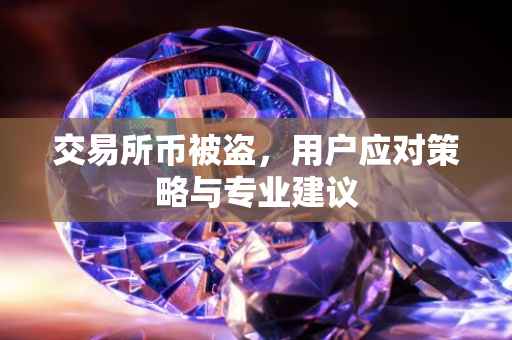 交易所币被盗，用户应对策略与专业建议