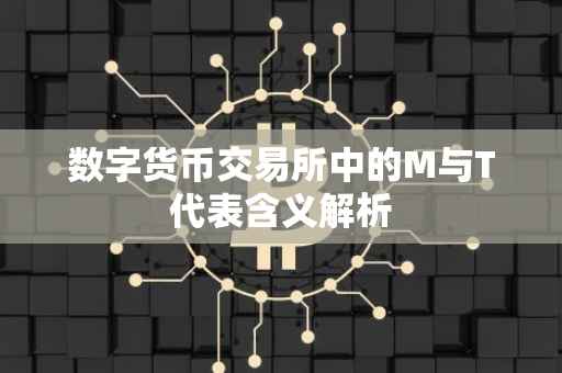 数字货币交易所中的M与T代表含义解析