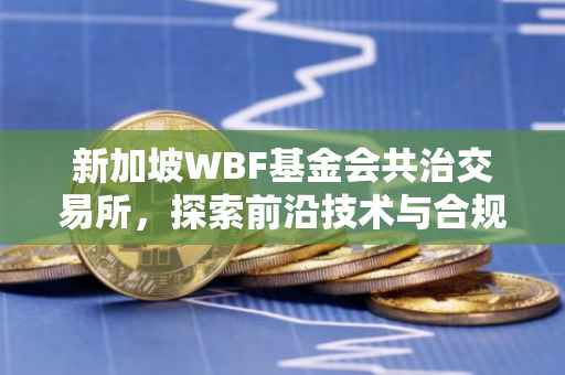新加坡WBF基金会共治交易所,探索前沿技术与合规交易的融合之道
