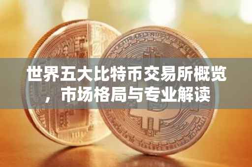 世界五大比特币交易所概览，市场格局与专业解读
