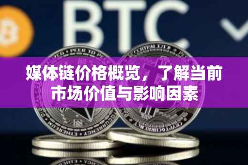 媒体链价格概览，了解当前市场价值与影响因素