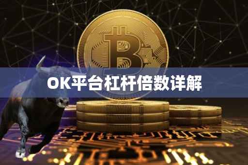 OK平台杠杆倍数详解