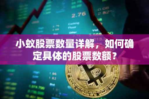 小蚁股票数量详解，如何确定具体的股票数额？
