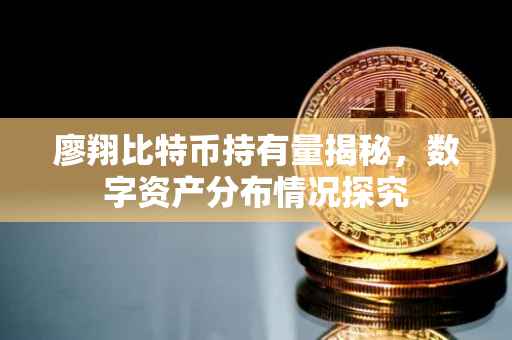 廖翔比特币持有量揭秘，数字资产分布情况探究