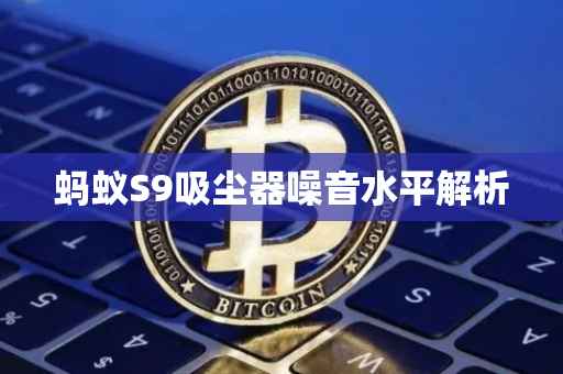 蚂蚁S9吸尘器噪音水平解析