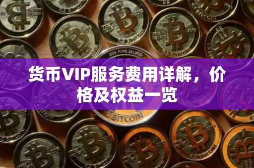 货币VIP服务费用详解，价格及权益一览