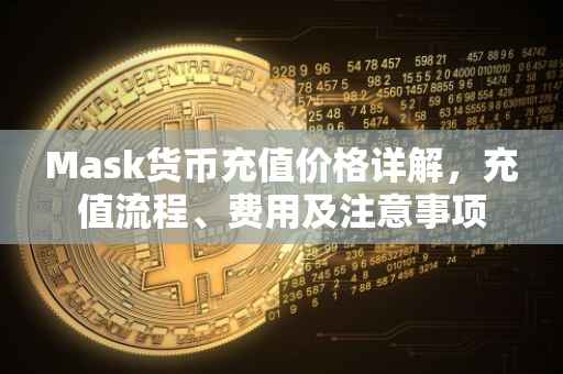 Mask货币充值价格详解，充值流程、费用及注意事项