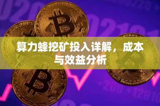 算力蜂挖矿投入详解，成本与效益分析