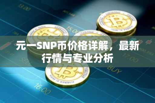 元一SNP币价格详解，最新行情与专业分析