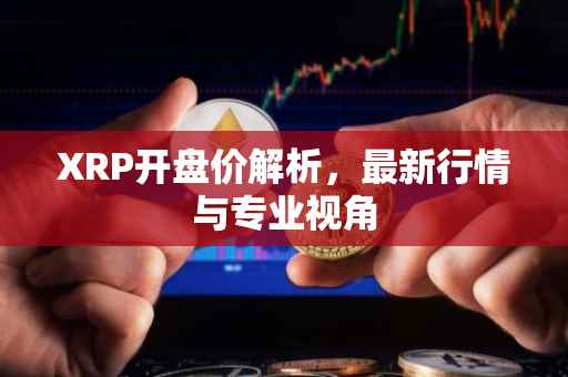 XRP开盘价解析，最新行情与专业视角