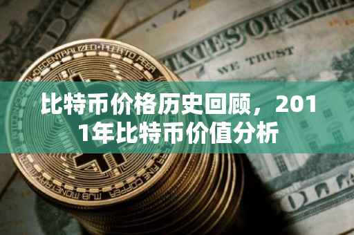 比特币价格历史回顾，2011年比特币价值分析