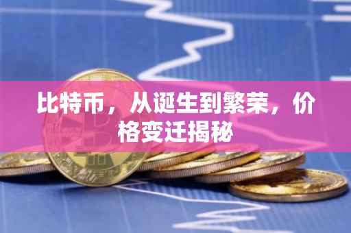 比特币，从诞生到繁荣，价格变迁揭秘