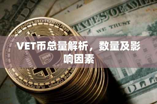 VET币总量解析，数量及影响因素