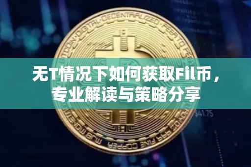 无T情况下如何获取Fil币,专业解读与策略分享