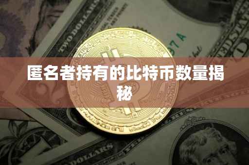 匿名者持有的比特币数量揭秘