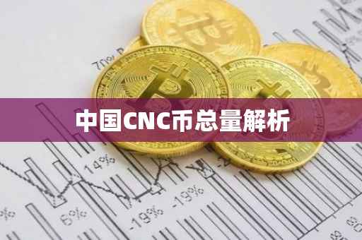 中国CNC币总量解析