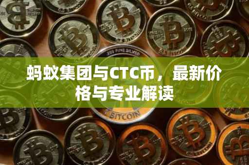 蚂蚁集团与CTC币，最新价格与专业解读