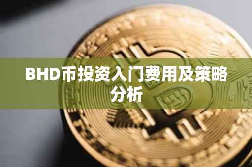 BHD币投资入门费用及策略分析