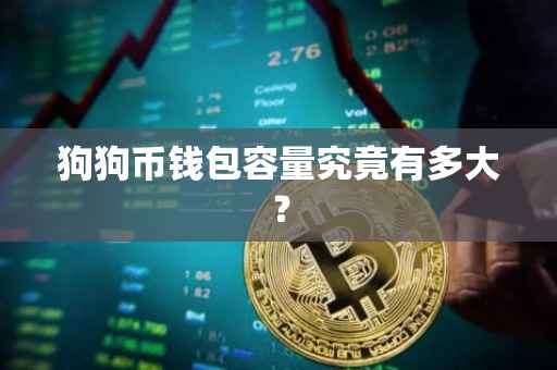 狗狗币钱包容量究竟有多大？