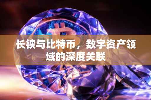 长铗与比特币，数字资产领域的深度关联