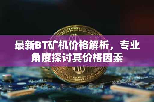 最新BT矿机价格解析，专业角度探讨其价格因素