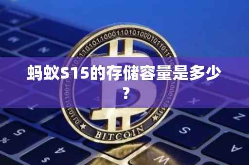 蚂蚁S15的存储容量是多少？