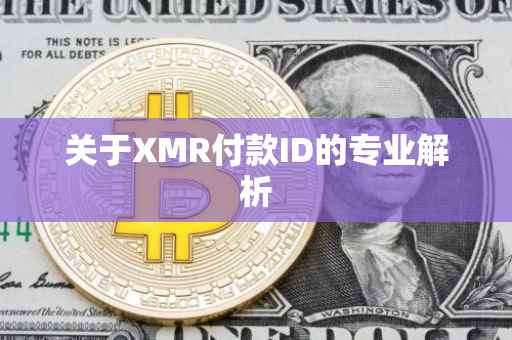 关于XMR付款ID的专业解析