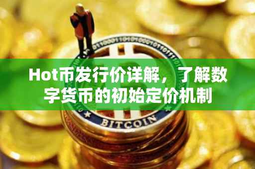 Hot币发行价详解,了解数字货币的初始定价机制